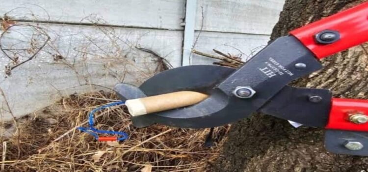 Michoacán desactivan 17 artefactos de pirotecnia en Uruapan