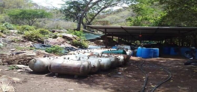 Desmantelan laboratorio clandestino en Michoacán donde había 800 kilos de marihuana y 43 de metanfetamina
