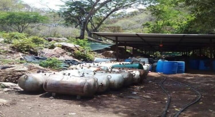 Desmantelan laboratorio clandestino en Michoacán donde había 800 kilos de marihuana y 43 de metanfetamina