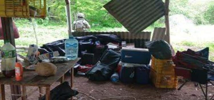 Desmantelan narcocampamento en zona serrana de Buenavista, Michoacán