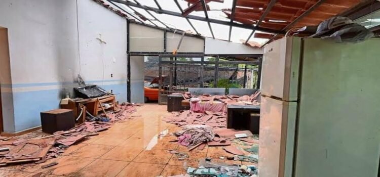 Narcoguerra deja devastación y éxodo en Michoacán