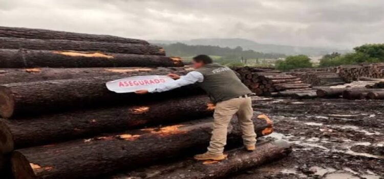 Asegura Profepa 3 mil 455 metros cúbicos de madera en dos aserraderos de Michoacán