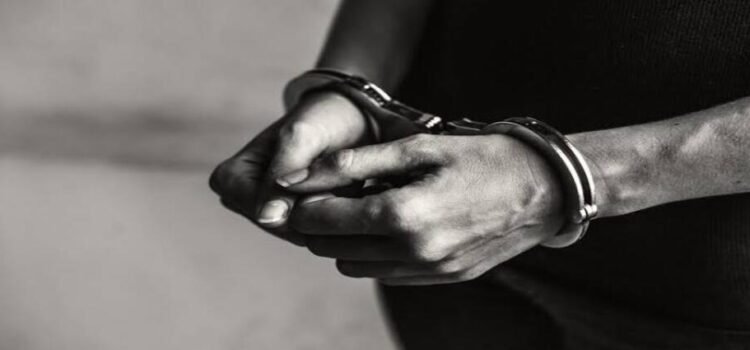 Caen 53 extranjeros ligados al crimen organizado en Michoacán