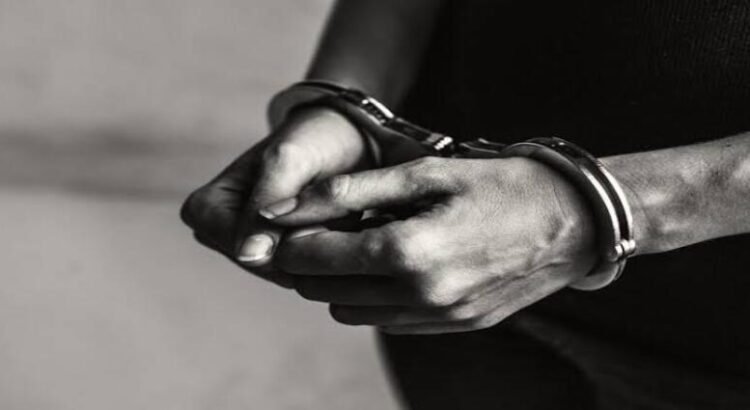 Caen 53 extranjeros ligados al crimen organizado en Michoacán