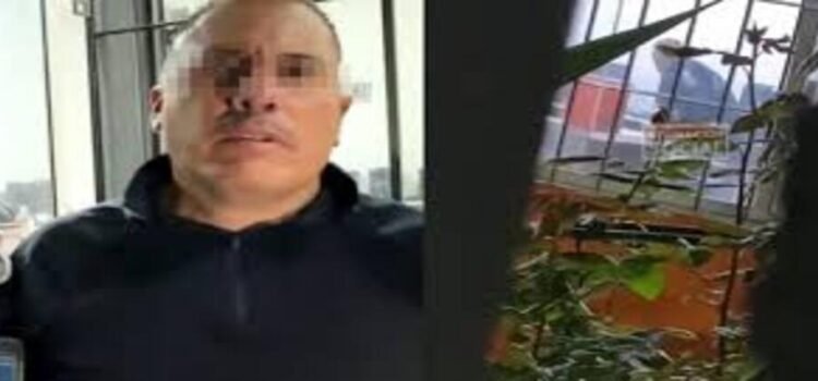 Fiscalía de Michoacán investiga a policía que golpeó a un perro parapléjico
