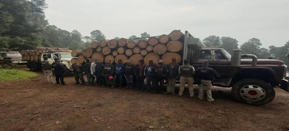 Detienen a 10 taladores ilegales en Michoacán
