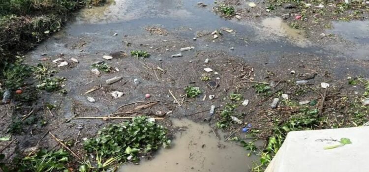 Recogieron concesionarios de basura 40 toneladas en ríos de Morelia Recogieron concesionarios de basura 40 toneladas en ríos de Morelia