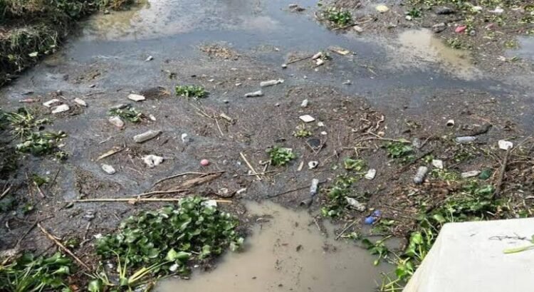 Recogieron concesionarios de basura 40 toneladas en ríos de Morelia