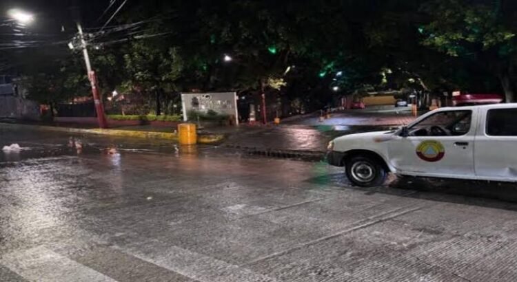 Desmiembran a hombre en Tarímbaro; dejan sus partes en diversos puntos