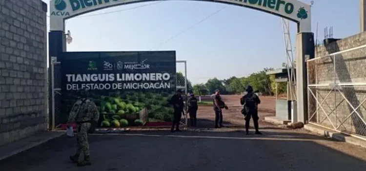 Extorsionadores cobraban 3.5 mdp a productores de limón en Apatzingán