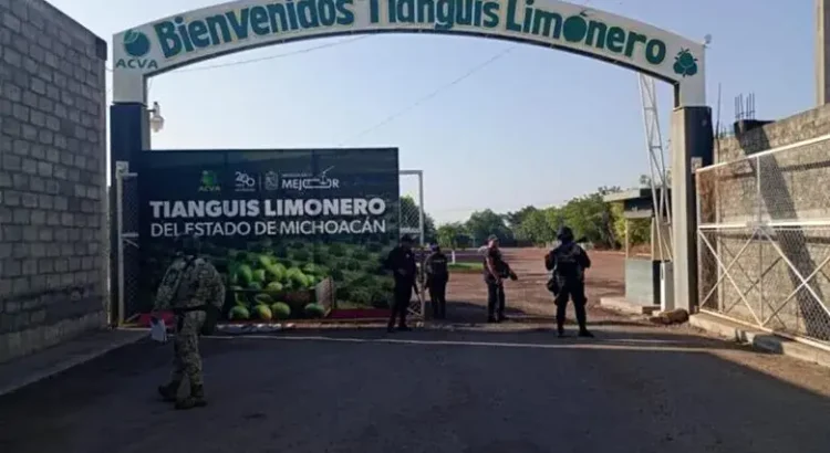 Extorsionadores cobraban 3.5 mdp a productores de limón en Apatzingán