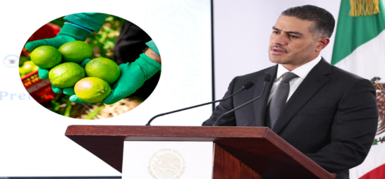 Harfuch anuncia refuerzo de seguridad para limoneros en Michoacán Harfuch anuncia refuerzo de seguridad para limoneros en Michoacán