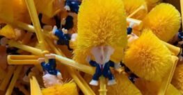 Se disparan las ventas de cepillo para retrete con la figura de Donald Trump