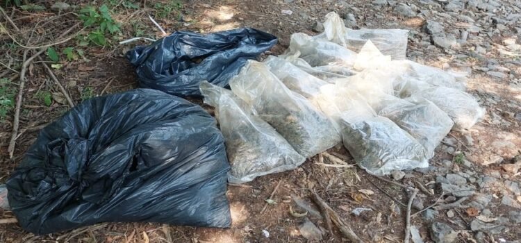 FGR decomisa droga abandonada en lanchas en Michoacán