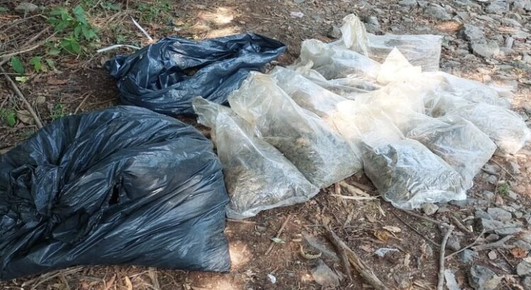 FGR decomisa droga abandonada en lanchas en Michoacán FGR decomisa droga abandonada en lanchas en Michoacán