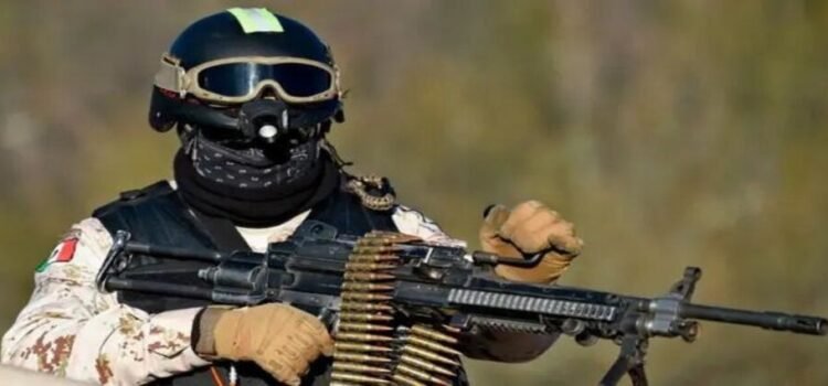 13 grupos delincuenciales controlan Michoacán