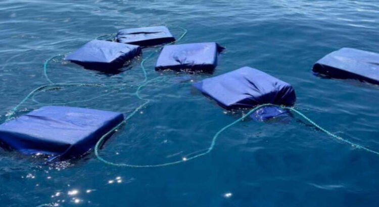 Hallan 40 bultos de cocaína en costas de Michoacán; aseguran alrededor de 2.5 toneladas Hallan 40 bultos de cocaína en costas de Michoacán; aseguran alrededor de 2.5 toneladas