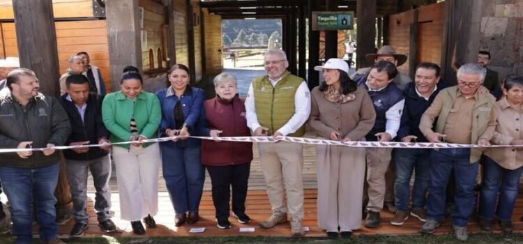 Michoacán espera el arribo de 800 mil turistas tras apertura de santuarios de la Monarca