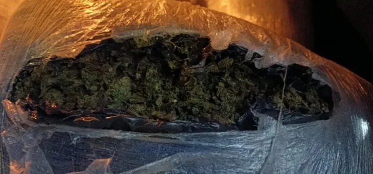 Detenido en Zitácuaro con 100 kilos de yerba, es vinculado a proceso