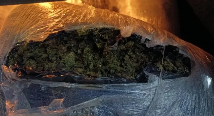Detenido en Zitácuaro con 100 kilos de yerba, es vinculado a proceso