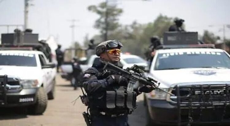 Fuerzas de seguridad mexicanas detienen a siete personas en el estado de Michoacán