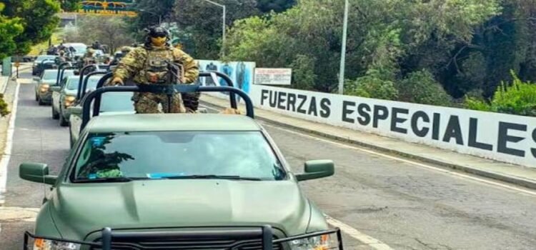 Suman operativos en Michoacán 134 detenidos en 16 días