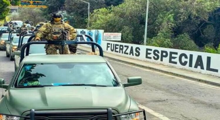 Suman operativos en Michoacán 134 detenidos en 16 días