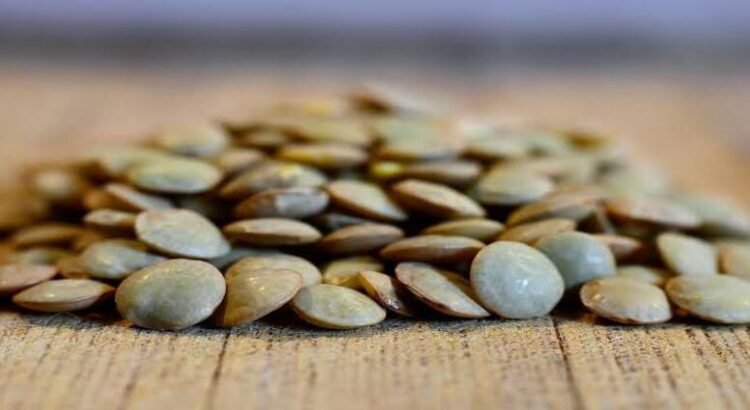 Comprarán lenteja a productores dentro del Plan Michoacán para 2026