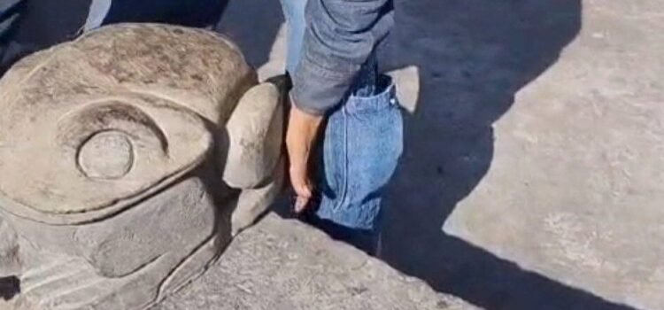 Retiran ranas de la fuente del Jardín Central