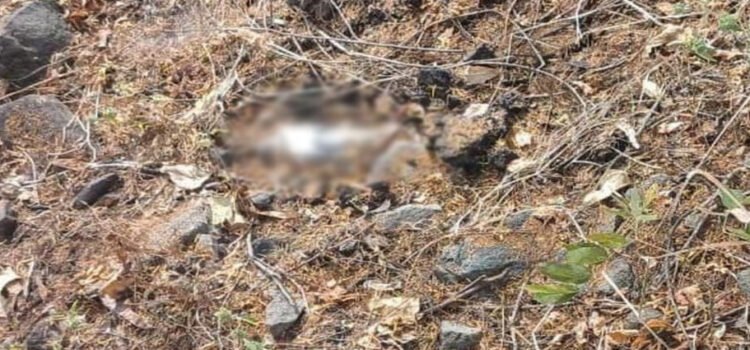 Desactivan cuatro artefactos explosivos en Michoacán