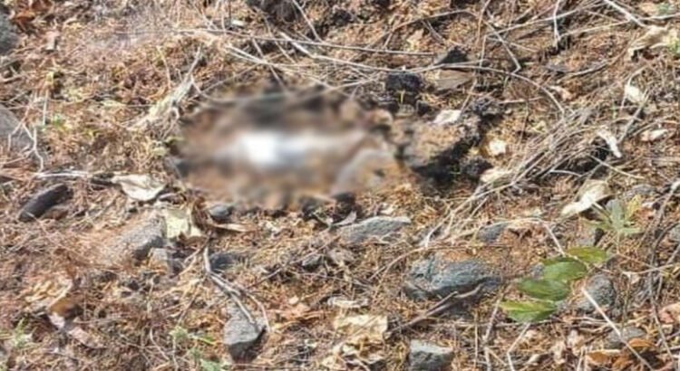 Desactivan cuatro artefactos explosivos en Michoacán Desactivan cuatro artefactos explosivos en Michoacán