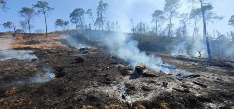 Michoacán finalizará 2025 con casi 700 incendios forestales
