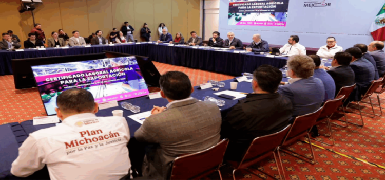 Plan Michoacán impulsa certificación laboral para exportar aguacate con empleo formal