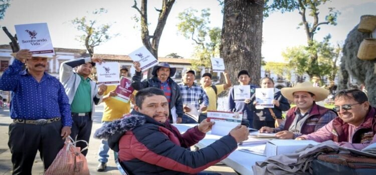 Más de 5 mil personas se suman al programa Sembrando Vida como parte del Plan Michoacán