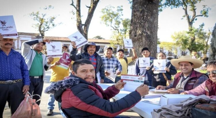 Más de 5 mil personas se suman al programa Sembrando Vida como parte del Plan Michoacán