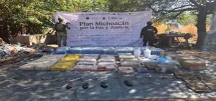 Detienen a 16 personas durante recorridos del Plan Michoacán