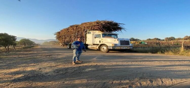 Invertirán 353 mdp para transformar el sector cañero en Michoacán