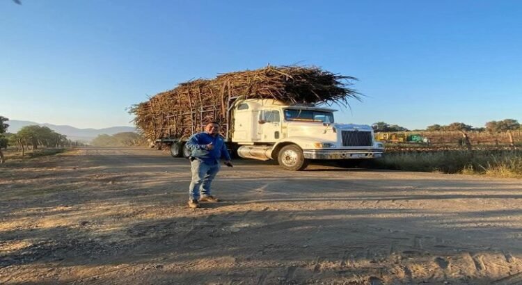 Invertirán 353 mdp para transformar el sector cañero en Michoacán