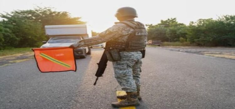 Plan Michoacán lleva 346 personas detenidas y 163 armas de fuego aseguradas