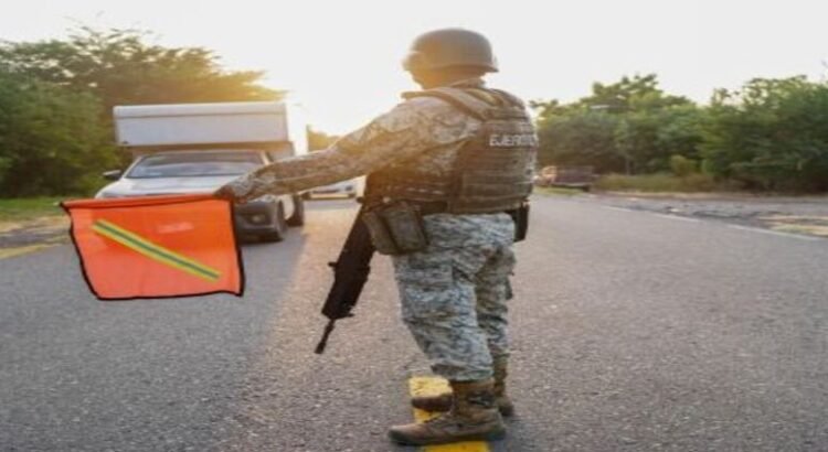 Plan Michoacán lleva 346 personas detenidas y 163 armas de fuego aseguradas