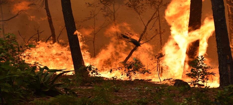 Michoacán, cuarto lugar nacional por incendios activos